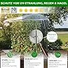 Beckmann Schutzdach für Pflanzen • PSN3 • 3,36m² – Bild 2