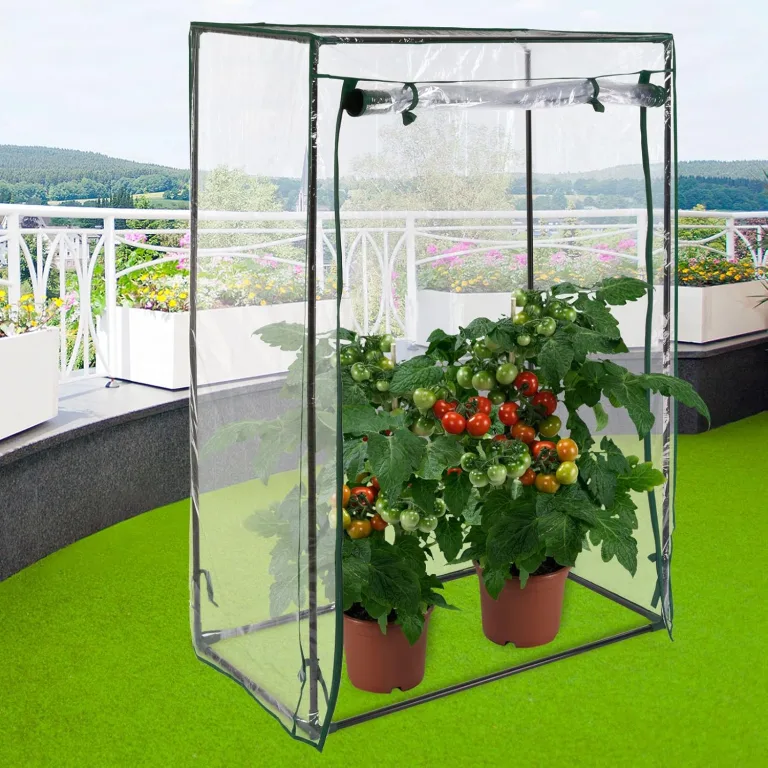 Tomaten Gewächshaus 100/50/150cm – Bild 2
