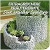 bellissa – Gabionen Kräuterspirale verzinkt 110x90x60cm - Kräuterschnecke Bausatz - Hochbeet Pflanzring für Kräuter & Gemüse mit Trennfolie - Witterungsbeständig & langlebig - Für Garten & Terrasse - Thumbnail 2