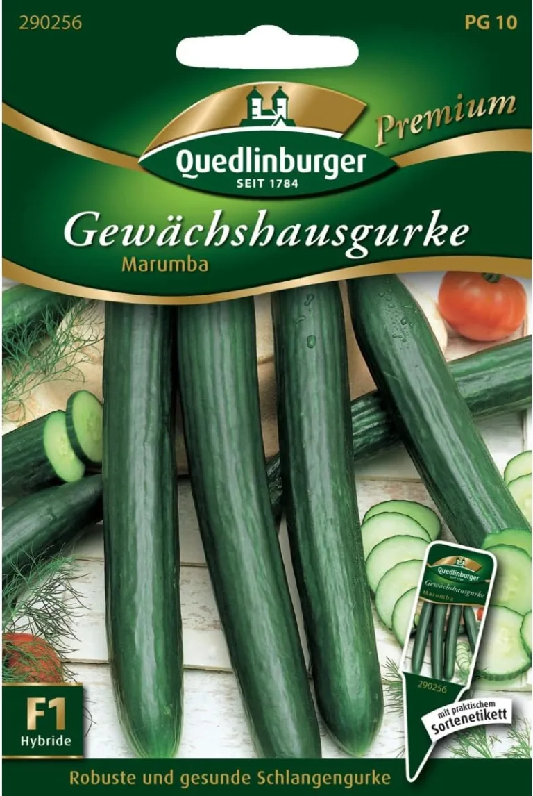 Gewächshaus-Gurke "Marumba",1 Portion – Bild 1