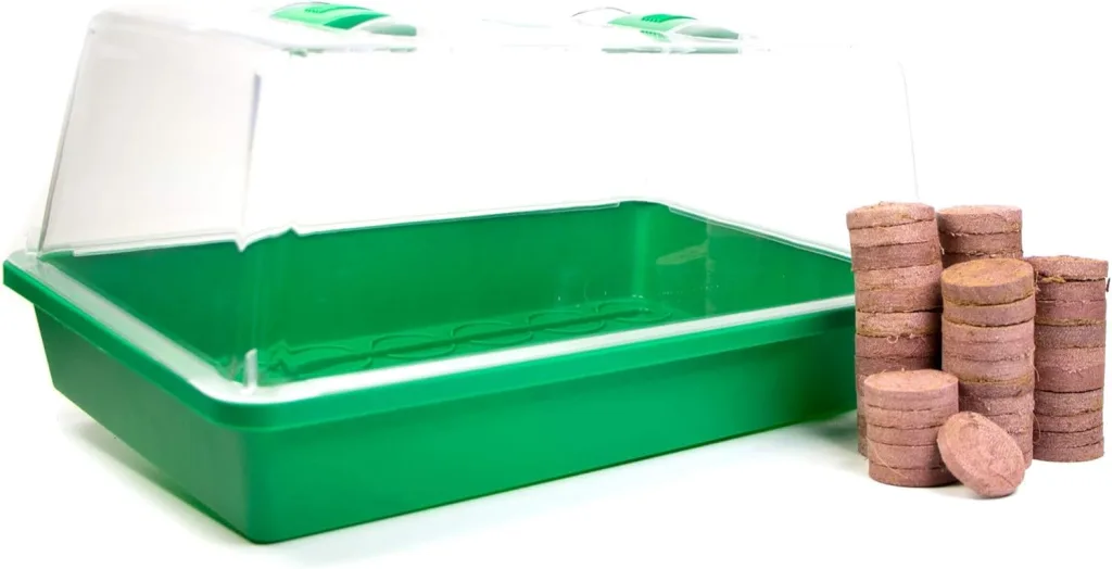 mgc24 Zimmergewächshaus Greenhouse Anzuchtset - Anzuchtschale mit Deckel und Belüftung - Komplettset mit 50 Quelltabs