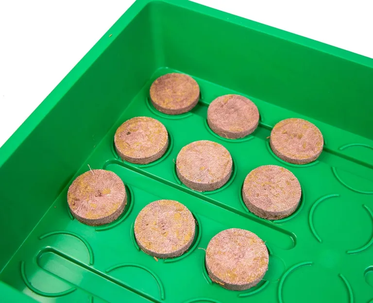 mgc24 Zimmergewächshaus Greenhouse Anzuchtset - Anzuchtschale mit Deckel und Belüftung - Komplettset mit 50 Quelltabs – Bild 4
