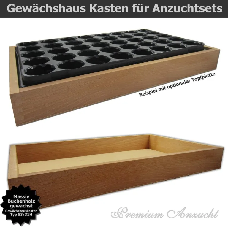 GREEN24 Gewächshaus Style-Box Beige GK5331H für Bewässerungswanne + Topfplatte - Birke Massivholz gewachst – Bild 3