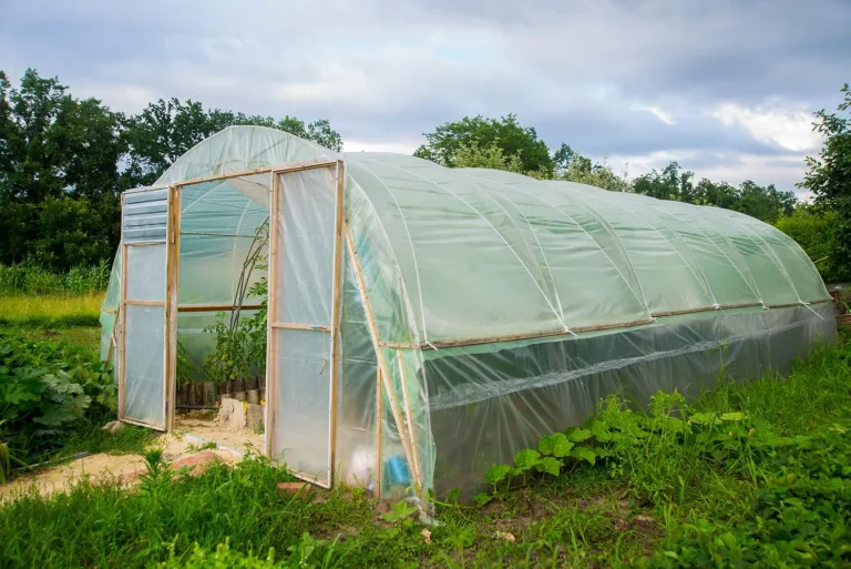 UV4 Folie in 12m Breite Folientunnel Frühbeet Tomatenhaus Treibhausfolie Gewächshausfolie (Meterware) - 1,50€/m² – Bild 5