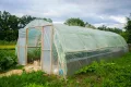 UV4 Folie in 12m Breite Folientunnel Frühbeet Tomatenhaus Treibhausfolie Gewächshausfolie (Meterware) - 1,50€/m² - Thumbnail 5