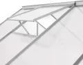 Zelsius Aluminium Gewächshaus mit Fundament 250 x 190 cm | 4 mm Hohlkammerplatten, UV-beständig, Winterfest | Treibhaus, Pflanzenhaus, Tomatenhaus, Frühbeet, Anbau Gewächshaus, Tomatengewächshaus - Thumbnail 6