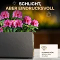 Ondis24 Vulkan Pflanzkübel groß außen Kunststoff 100cm Schiefer Optik Blumentopf mit Wasserspeicher Winterfest anthrazit - Thumbnail 3