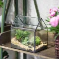 NCYP 15,5x11x16 cm Kleines Geometrisches Terrarium, Haus-Form, Glas, schließbar, Gewächshäuschen für Sukkulenten Moos Farn, mit Klappdeckel (ohne Pflanzen) - Thumbnail 6