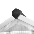 vidaXL 6,05m² Alu Gewächshaus +Grundrahmen Garten Treibhaus Tomatenhaus Frühbeet - Thumbnail 5