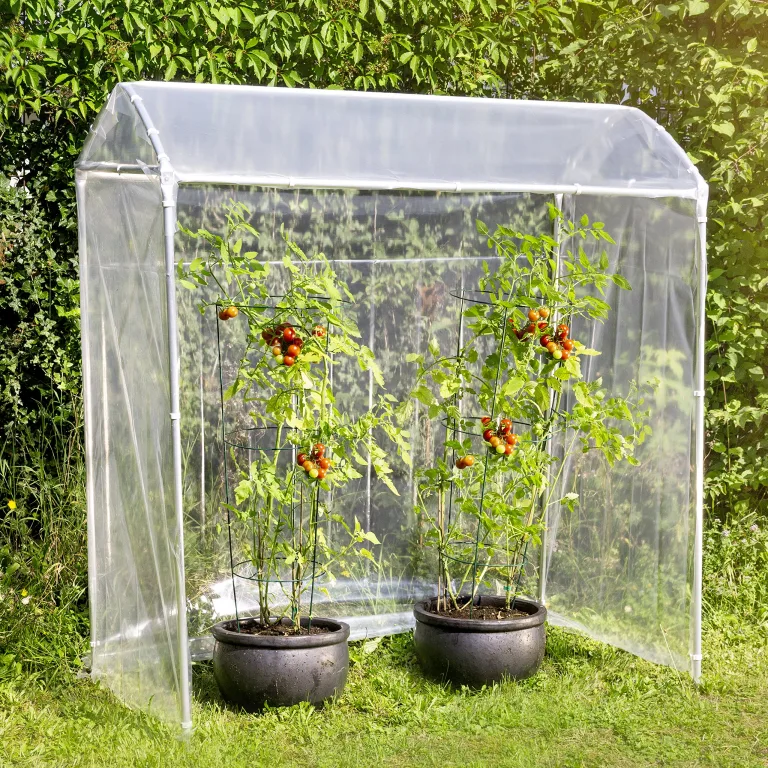 Windhager Tomatengewächshaus Alustar Premium, Tomatenhaus zur Anzucht von Gemüse, Stabiles Gewächshaus, Frühbeet- und Tomatenzelt, UV-Beständig, 170 x 150 x 80 cm, 38111 – Bild 2