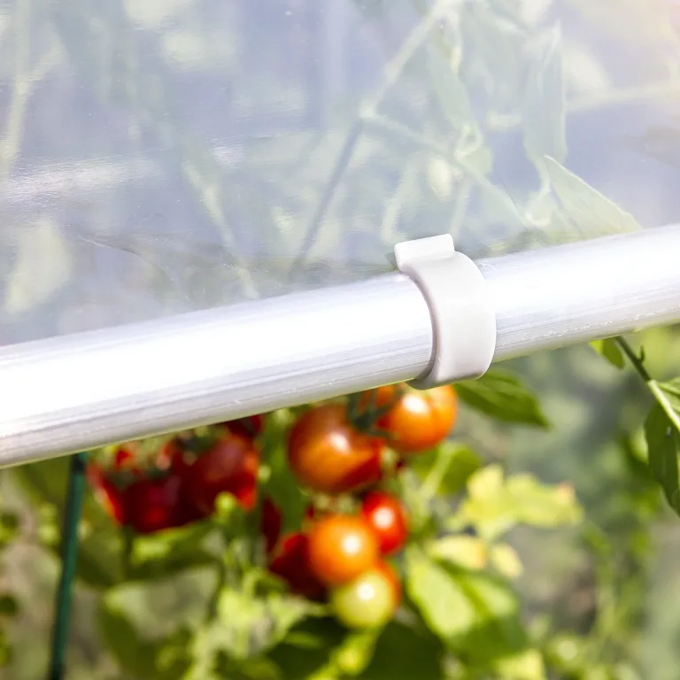 Windhager Tomatengewächshaus Alustar Premium, Tomatenhaus zur Anzucht von Gemüse, Stabiles Gewächshaus, Frühbeet- und Tomatenzelt, UV-Beständig, 170 x 150 x 80 cm, 38111 – Bild 3