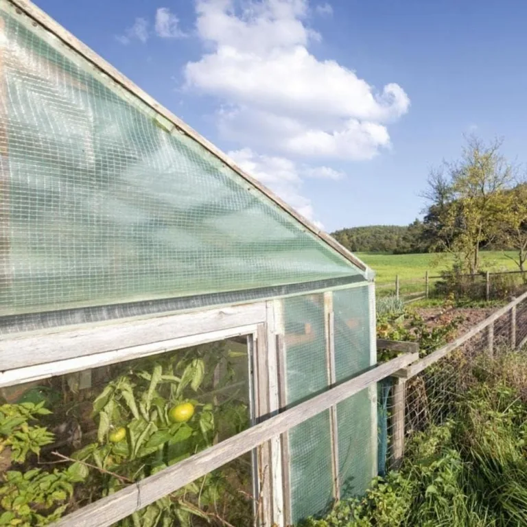 Gewächshausfolie Transparent, Gitterfolie, UV-Resistant Folie für Gewächshaus, Treibhausfolie Tomatenhaus, Frühbeetfolie, Gartenfolie Winterfest, Gewächshausplane - 2 m Breite – Bild 6