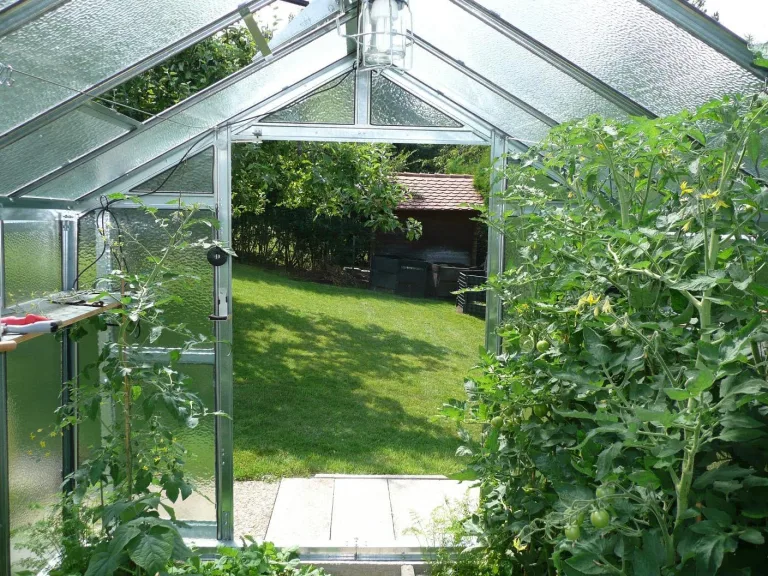 Gewächshaus Junior aus verzinkten Stahlblechprofilen und Echt-Glas, Breite 2,49 m x Länge 4,06 m = 10 m² – Bild 7