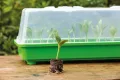 Romberg Gewächshaus L (Farbe grün, Wasserrinnen, Vertiefungen, Schieberegler in der Haube, Kunststoff PAK-frei) 10094104 - Thumbnail 5