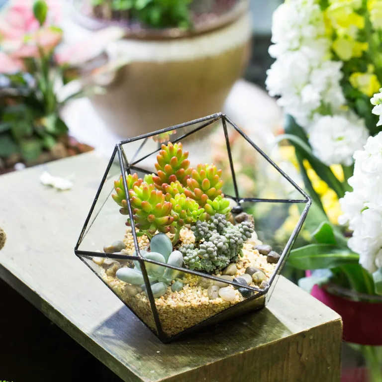 NCYP 17x17x17cm Handmade Blumentopf, Geometrisches Glasterrarium, in Form Einer Halbkugel, für Balkon, Tischdeko, als Blumentopf für Miniatur-Bonsai, ​Übertopf für Sukkulente (ohne Pflanzen) – Bild 2
