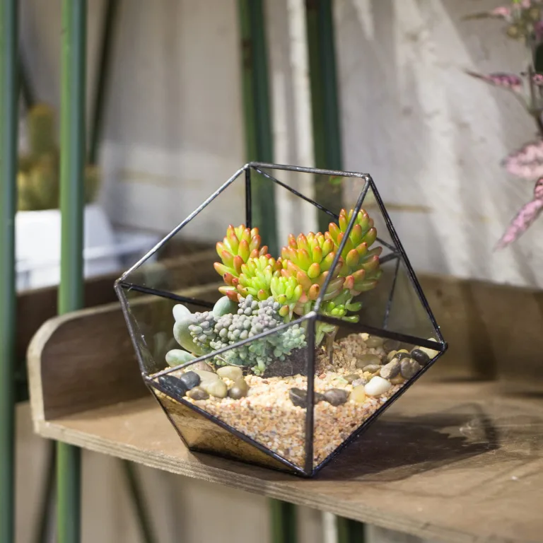 NCYP 17x17x17cm Handmade Blumentopf, Geometrisches Glasterrarium, in Form Einer Halbkugel, für Balkon, Tischdeko, als Blumentopf für Miniatur-Bonsai, ​Übertopf für Sukkulente (ohne Pflanzen) – Bild 7