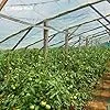 HaGa Gitterfolie 4m Breite in transparent – Extrastarke Folie für Gewächshaus klein & groß – als Gewächshausfolie & Winterschutz (Meterware) – Bild 2