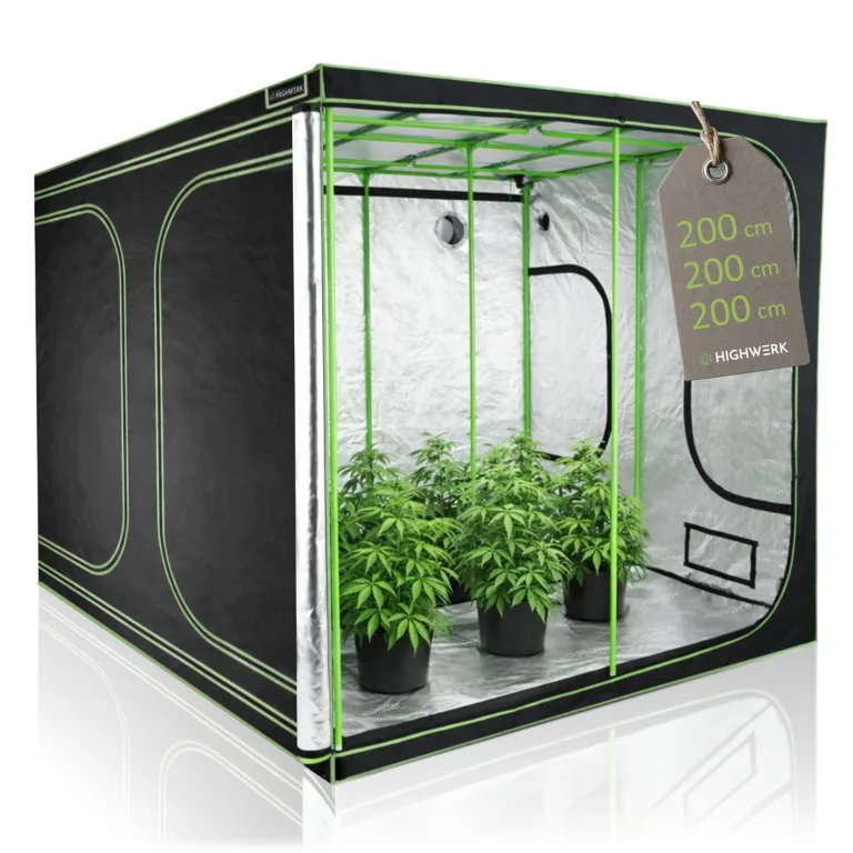 Growzelt 200 x 200 x 200 cm | MyHomeGrow Grow Tent, schwarz grün | Indoor Grow Tent für Pflanzenzucht | Growbox, Homegrow, Growschrank | Zuchtzelt, Pflanzenzelt, Anzuchtzelt, Gewächshaus – Bild 1