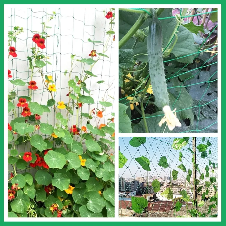 KINGLAKE Ranknetz für Kletterpflanzen, Gurkennetz 3.6X1.8M, Rankhilfe Gurken Netz, Pflanzennetze Kletternetz, Hochbeet Rank Netz, Rankgitter für Gewächshaus Garten Bohnen Tomaten-Grün – Bild 9