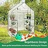 COSTWAY Gewächshaus Foliengewächshaus, Treibhaus mit 2 Pflanzenständern & aufrollbaren Tür, Tomatenhaus Tomaten, Pflanzenhaus mit PE Gitterfolie, 143x73x195cm, Weiß und transparent – Bild 2