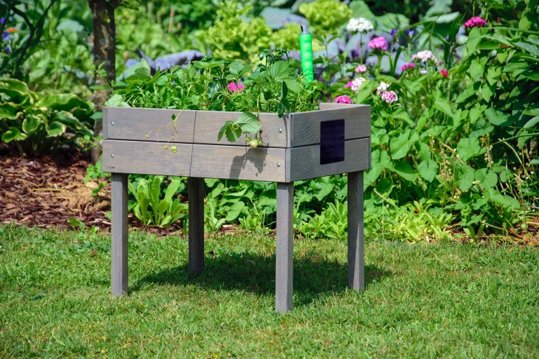 dobar® 58511FSC Kinderhochbeet mit Kreidetafel | Mini Hochbeet Holz | erhöhter Pflanzkasten für Kinder | Salatbeet auf Stelzen | Kleines Kräuterbeet für Garten/Terrasse/Balkon | 50 x 40 x 45 cm | Grau – Bild 3