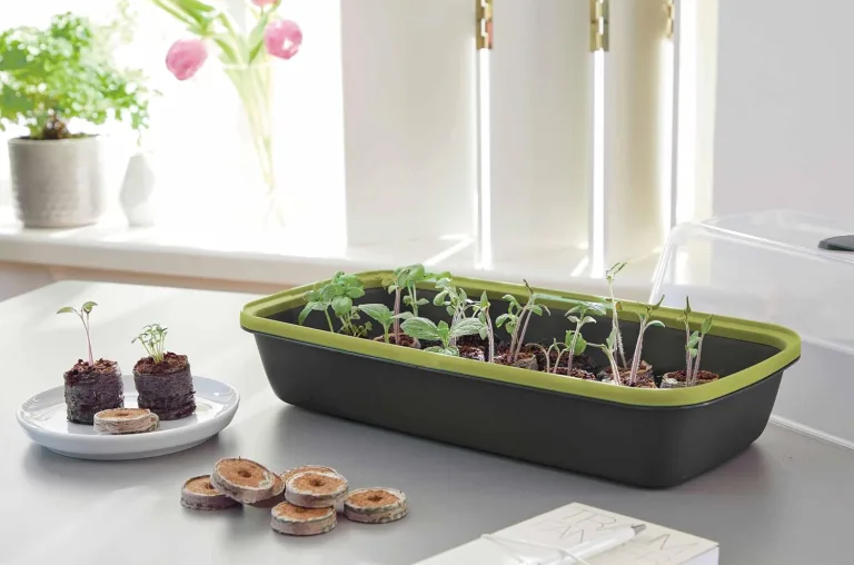 Romberg BoQube L Plus Mini Gewächshaus Anzuchtset & Pflanzkasten mit 10 selbstbewässernden Pflanzzellen und Bewässerungssystem, Zimmergewächshaus für Indoor Kräutergarten, 41×17×23 cm, Anthrazit-Grün – Bild 7