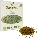 1 kg BIO Keimsprossen Alfalfa Samen Keimling Sprossen Mikrogrün Microgreens Keimsaat Sprossenanzucht - Thumbnail 1