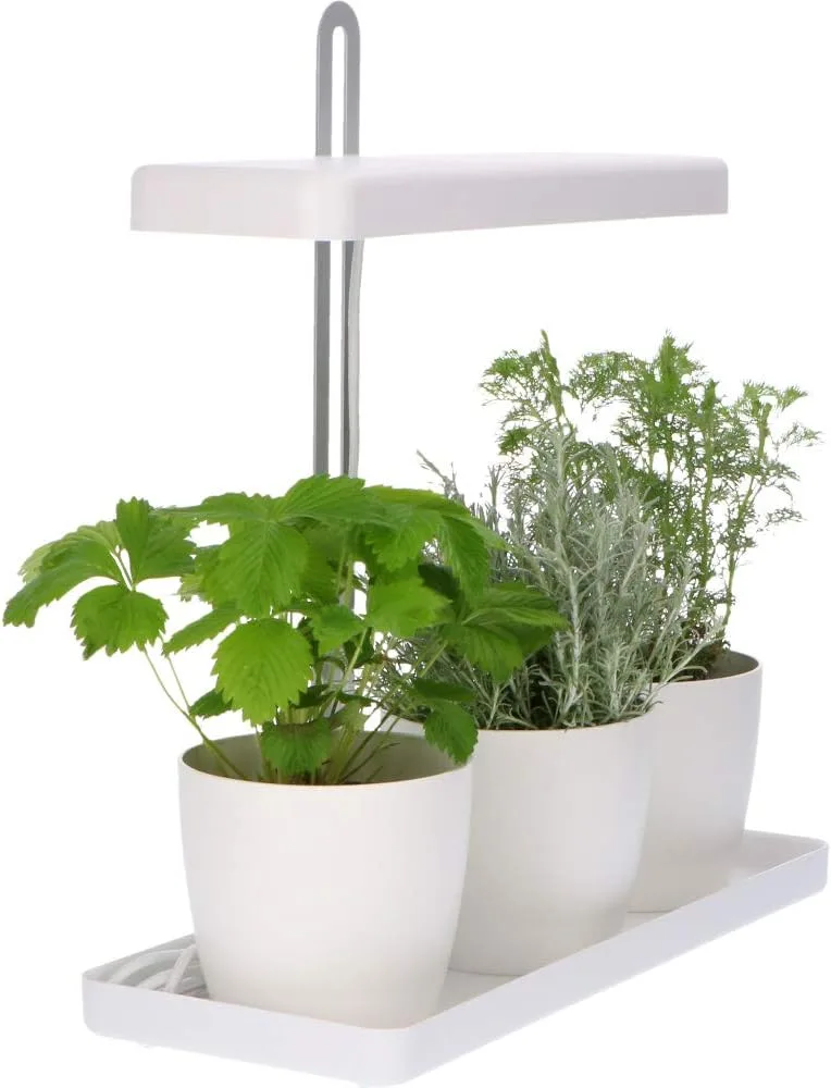 Design Kräutergarten mit höhenverstellbarem Pflanzenlicht 20W als Anzuchtschale oder Kräuterbeet – Bild 1