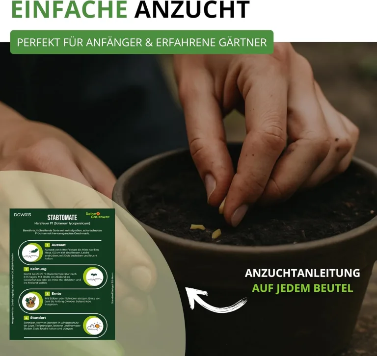 Stabtomaten Harzfeuer F1 Samen - Solanum lycopersicum - Tomatensamen - Gemüsesamen - Saatgut für 15 Pflanzen – Bild 7