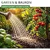 Stabtomaten Harzfeuer F1 Samen - Solanum lycopersicum - Tomatensamen - Gemüsesamen - Saatgut für 15 Pflanzen – Bild 3