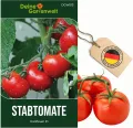 Stabtomaten Harzfeuer F1 Samen - Solanum lycopersicum - Tomatensamen - Gemüsesamen - Saatgut für 15 Pflanzen - Thumbnail 1