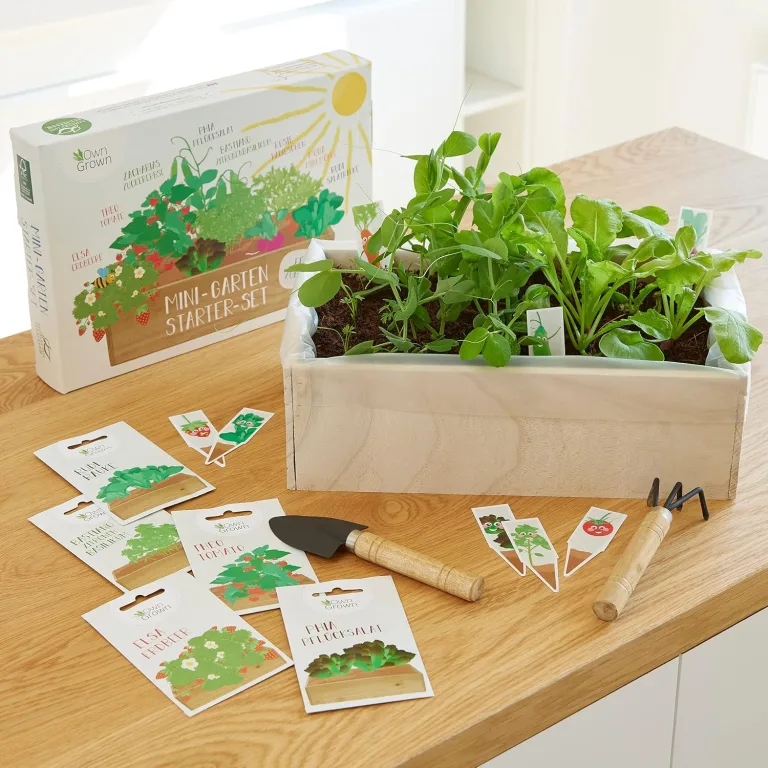Saatgut Anzuchtset mit Holzkiste und 8 Sorten Pflanzen Samen: Kinder Anzuchtset Pflanzen mit Gemüse, Erdbeeren und Kräuter Samen – Mini Gewächshaus und Mini Garten Starter Kit von OwnGrown – Bild 7