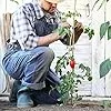 UNUS Bambusstäbe, Pflanzenstäbe zur Stabilisierung von Pflanzen im Garten, Rankstäbe Bambus 120 cm naturfarbend, 25 Stück - Thumbnail 5