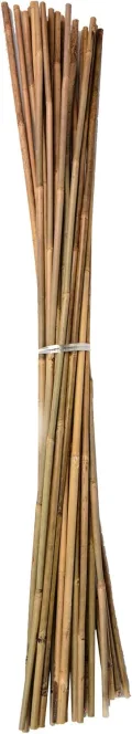 UNUS Bambusstäbe, Pflanzenstäbe zur Stabilisierung von Pflanzen im Garten, Rankstäbe Bambus 120 cm naturfarbend, 25 Stück - Thumbnail 6