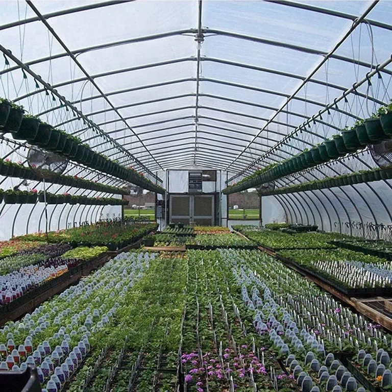 HENGMEI 14x Polycarbonat Doppelstegplatten 4mm Hohlkammerstegplatten10,25 m² UV-beständigen Stegplatten für Gewächshaus, Garten Treibhaus - Transparent – Bild 7