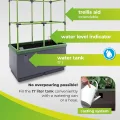 Bio Green Pflanzkübel CITYJUNGLE | Hochbeet für Balkon und Terrasse | Wasserspeicher und Rankhilfe integriert | Blumenkasten für Gemüse und Kräuter | 62 x 33 x 128 cm - Thumbnail 3
