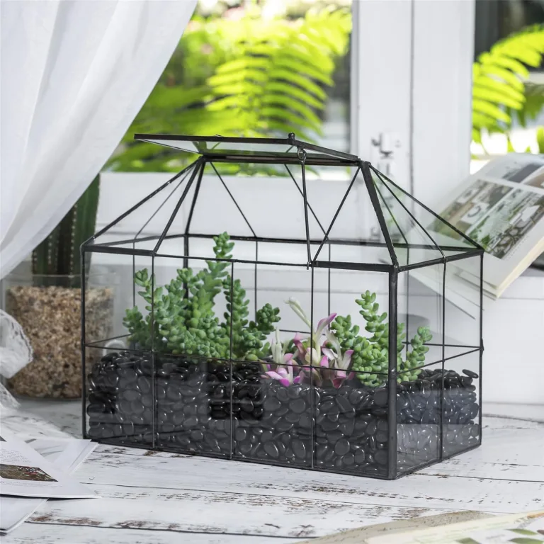 NCYP 25x13,5x20 cm Handmade Pflanzencontainer,Glas Geometrisch Pflanzen Terrarium, Schwarzes Gitter Haus-Form Gewächshaus Blumentopf, modernes Tischaufsatz (ohne Pflanzen) – Bild 6