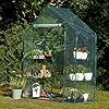 Bramble - Premium Garten Gewächshaus Foliengewächshaus mit Bodenhaken, 6 Etagen & Robuster Plane - Wetterfest, Stabil & Einfach zu Montieren - 195x143x73cm - Thumbnail 2