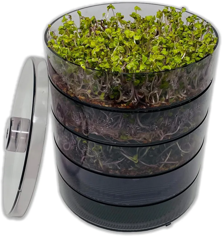 SaatPur® Keimsprossenbox Set 4 mit Vier Etagen als Sprossen Keimgerät: Sprossen Anzucht sowie Microgreens Anzuchtschalen. Keimbox, Keimschale, Keimschachtel, Sprossenbox, Sprossenhaus, Keimgerät – Bild 1