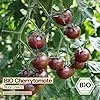 Samenliebe BIO Cherrytomaten Samen | Tomate Black Cherry - süß & klein - samenfestes BIO Saatgut – Bild 2