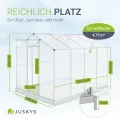 Juskys Aluminium Gewächshaus mit Fundament 4,75 qm - 190 × 253 cm - 1 Dachfenster & Schiebetür - 4 mm Platten - Garten Treibhaus Pflanzenhaus - Thumbnail 4