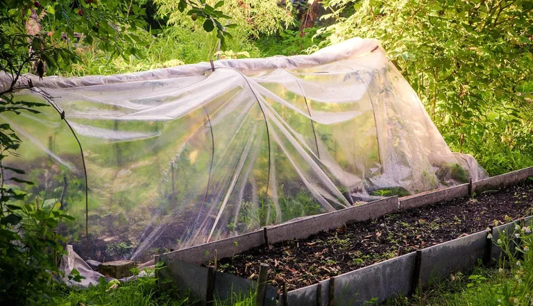 Aquagart 6m reißfeste UV 5 Gewächshausfolie transparent I Frühbeet Abdeckung Gartenfolie Gewächshaus I PE Gewächshausplane I Treibhausfolie Breite 4 m I Folien-Stärke 190 Mircron 0,19 mm – Bild 6