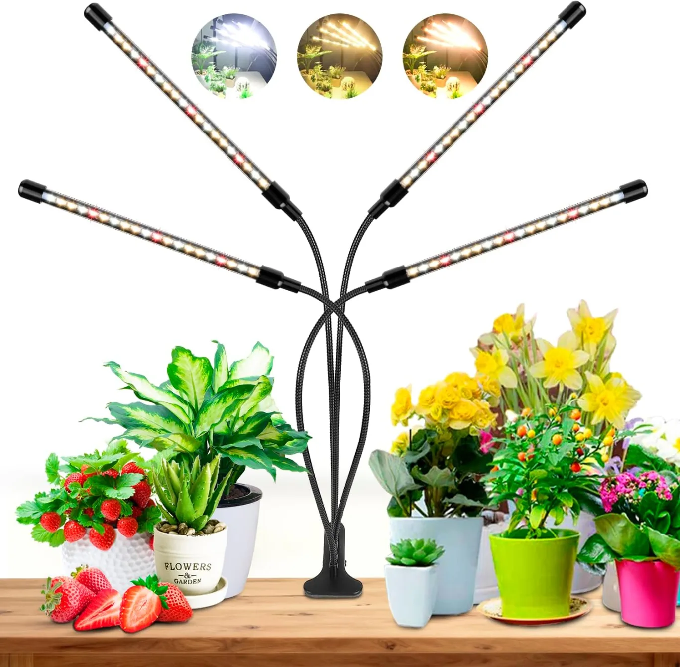 wolezek Pflanzenlampe LED, Pflanzenlicht, 80 LEDs Pflanzenleuchte 3000K 5000K 660nm Wachsen licht Vollspektrum für Zimmerpflanzen mit Zeitschaltuhr, 5 Arten von Helligkeit & 3 Lichter Modi für Gemüse - Bild 1