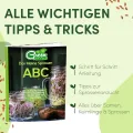 [Das Original Sprossenglas Starter-Set + KRESSESIEB | 1000ml mit hochwertigem Edelstahl-Gitterdeckel, Ständer, Keramikschale + Sprossen-ABC [Druckversion] Keimglas Anzuchtschale - Thumbnail 3