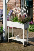 dobar® 58186e rollbares Hochbeet mit Rankgitter | Pflanzkasten auf Rollen | Blumenbeet aus Massiv-Holz | Schmales Kräuterbeet für Garten/Terrasse/Balkon | 79 x 28,5 x 130 cm | Weiß - Thumbnail 8