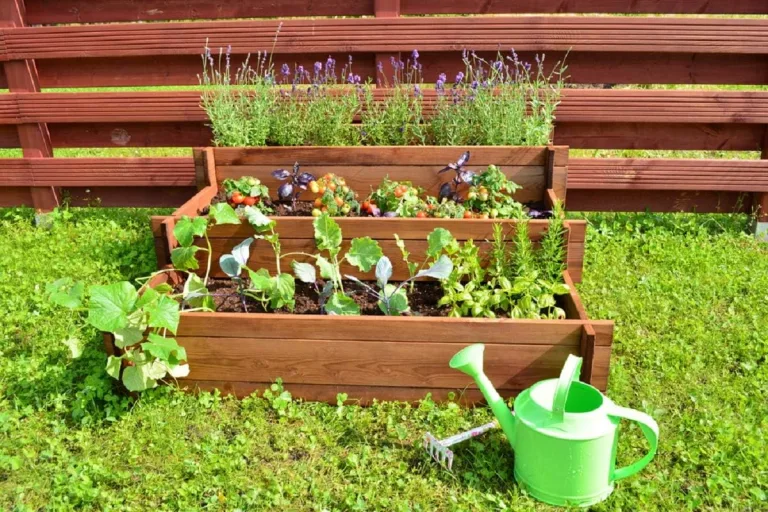Stufenhochbeet aus Holz, Hochbeet mit unterschiedlichen Pflanzbereichen, Gartenbeet für Gemüse, Kräuter und Blumen – Bild 5