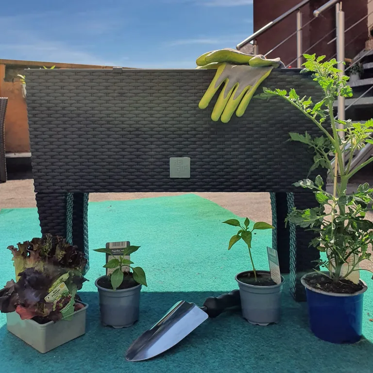Deuba® Hochbeet 2in1 Funktion Balkonkasten 30L Bewässerungssystem mit abnehmbaren Füßen Polyrattan Beet Garten Balkon Kunststoff Anthrazit 60x25cm – Bild 4