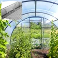 14 Pcs Polycarbonat Hohlkammerplatten Hohlkammerstegplatten Doppelstegplatten transparente Polykarbonat Platten 4 mm stark 60,5 x 121 cm Ersatzteile für Garten Treibhaus Ersatzplatten 10,25 m² - Thumbnail 9