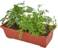 tectake® Vertical Gardening Beet mit 4X Blumenkasten, Pflanzturm Hochbeet Kunststoff, als Indoor Kräutergarten oder Outdoor im Garten, als Sichtschutz Balkon, Terrassen Deko, Blumenbank - Thumbnail 8