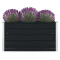vidaXL Hochbeet Gartenbeet Gemüsebeet Pflanzbeet Pflanzkasten Blumenbeet Blumenkasten Frühbeet Garten 100x100x45cm Verzinkter Stahl Anthrazit - Thumbnail 1